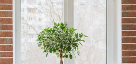 Réparation pro de volets roulants à Clermont-Ferrand : sécurité et performance assurées