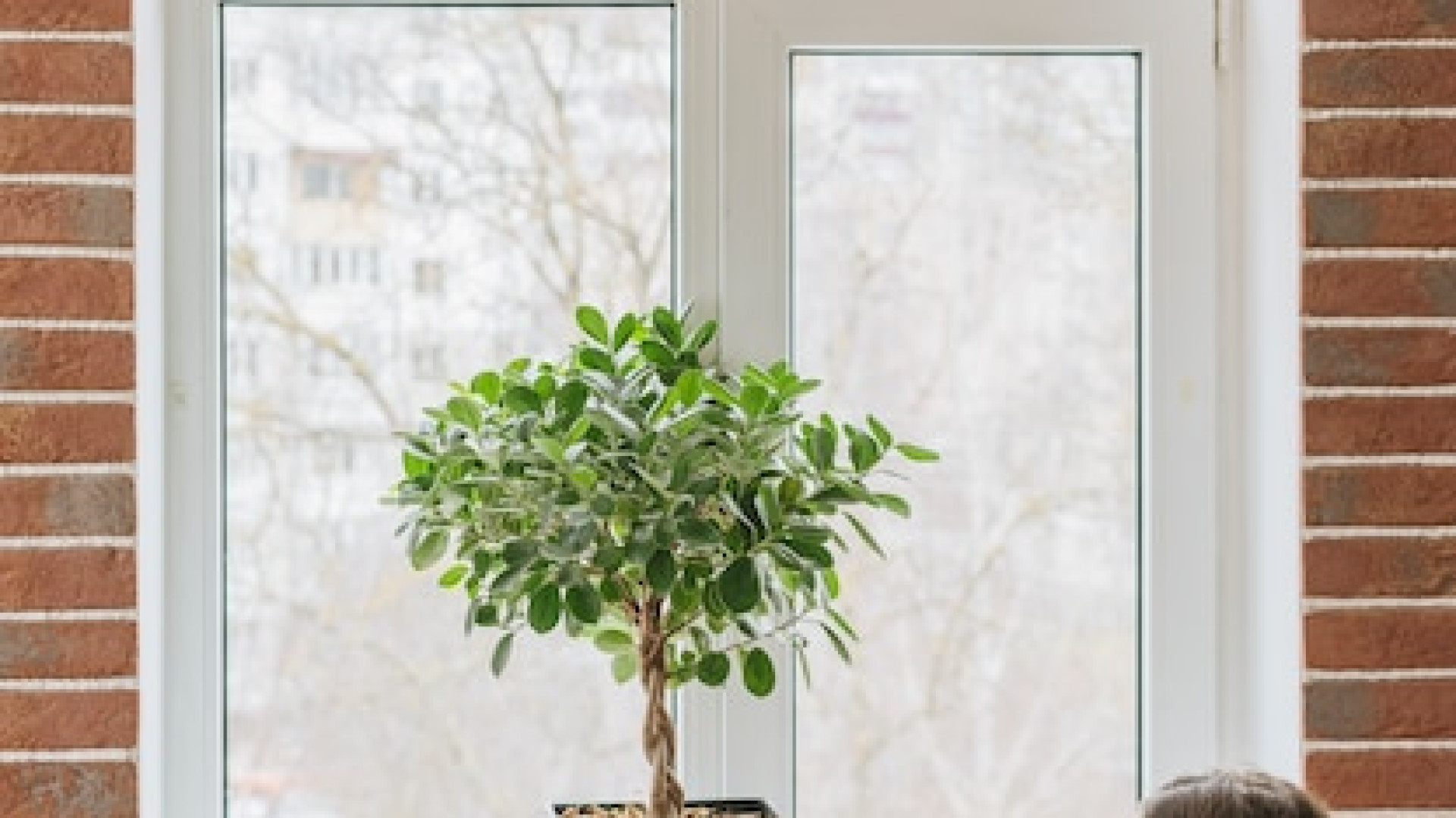 Réparation pro de volets roulants à Clermont-Ferrand : sécurité et performance assurées